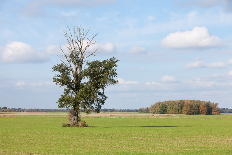 20141005-38
