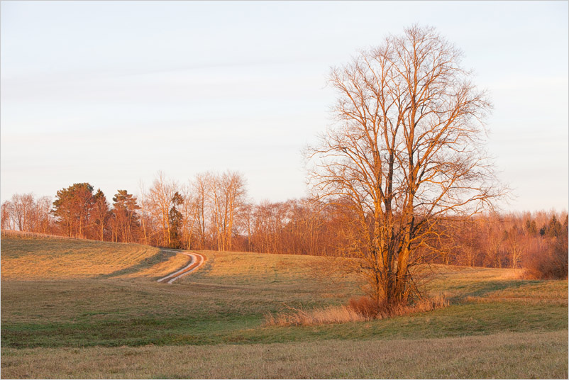 20141025-36