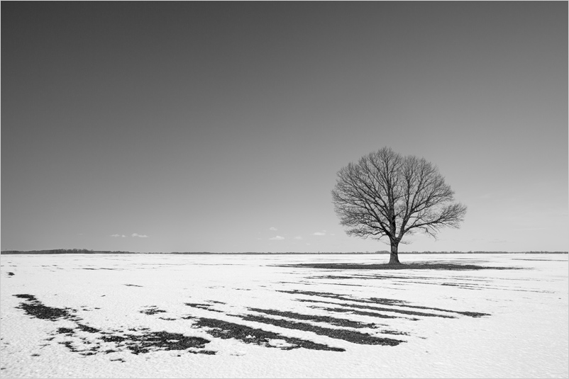 20141202-01_bw_chlng(20130317-06)