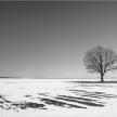 20141202-01_bw_chlng(20130317-06)