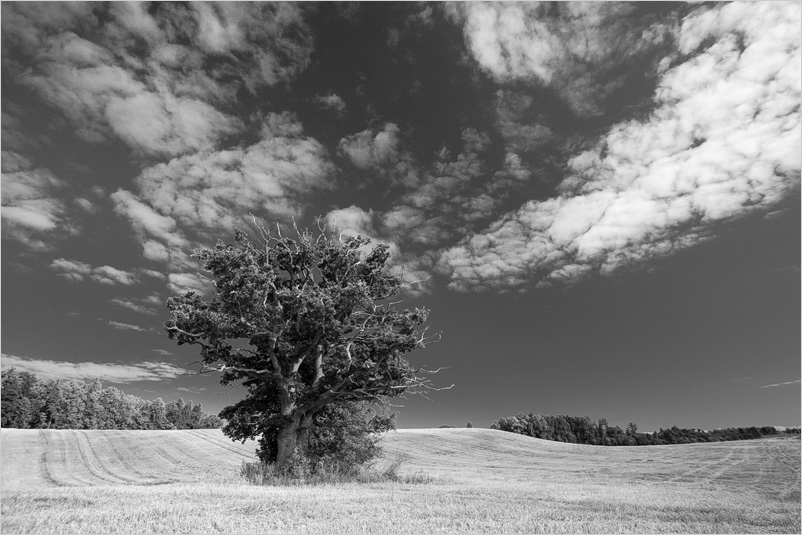 20141202-05_bw_chlng(20130825-01)