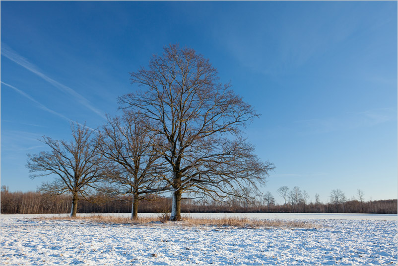 20141226-01