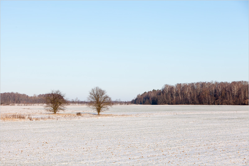 20141226-07