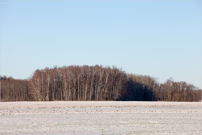 20141226-08