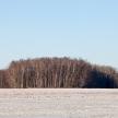 20141226-08