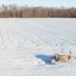 20141226-15