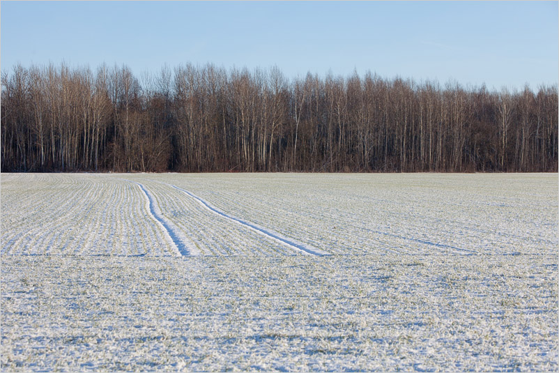 20141226-19