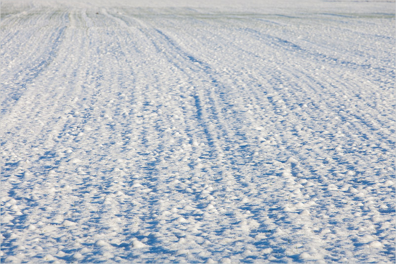 20141226-21