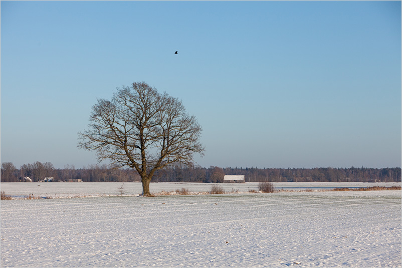 20141226-22
