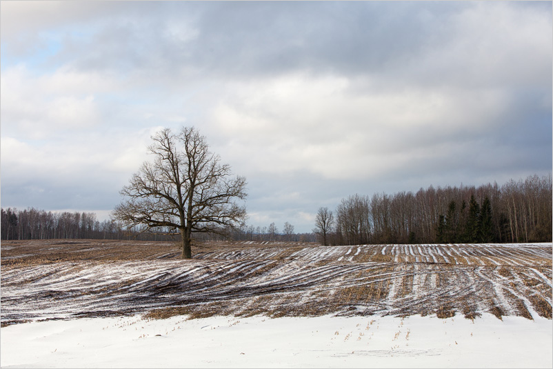 20150215-16