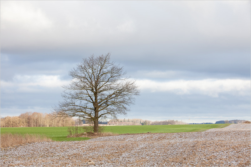 20150215-19