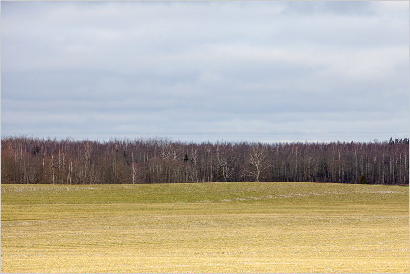 20150215-24