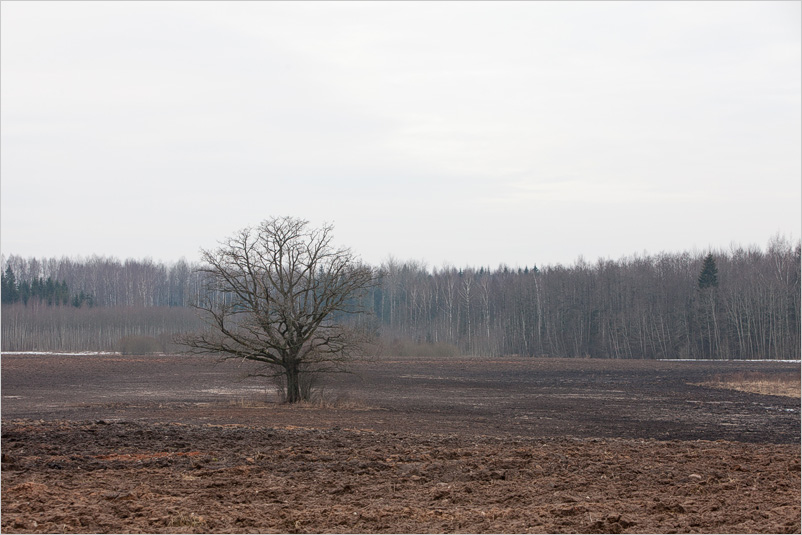 20150308-02