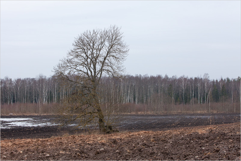 20150308-03