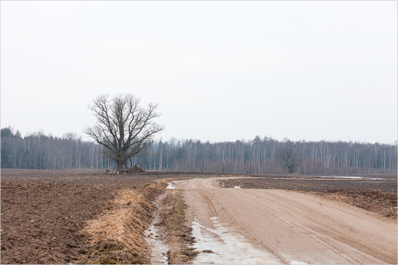 20150308-07