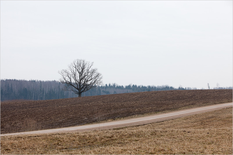 20150308-09