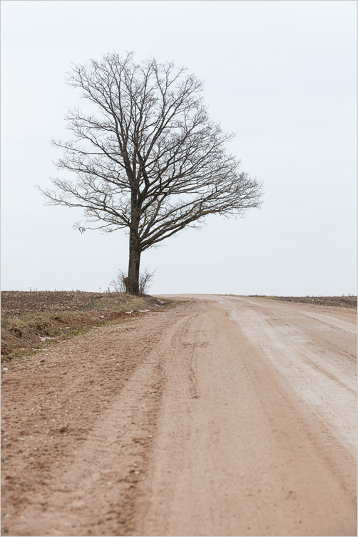 20150308-11