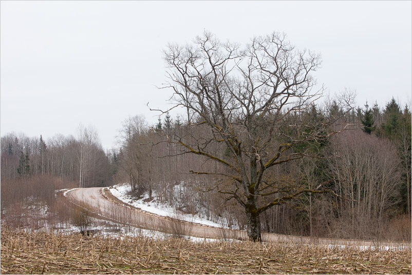 20150308-14