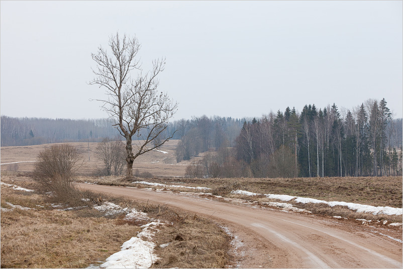20150308-17