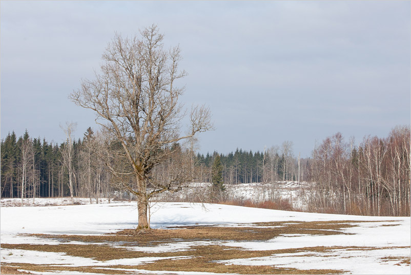20150308-18