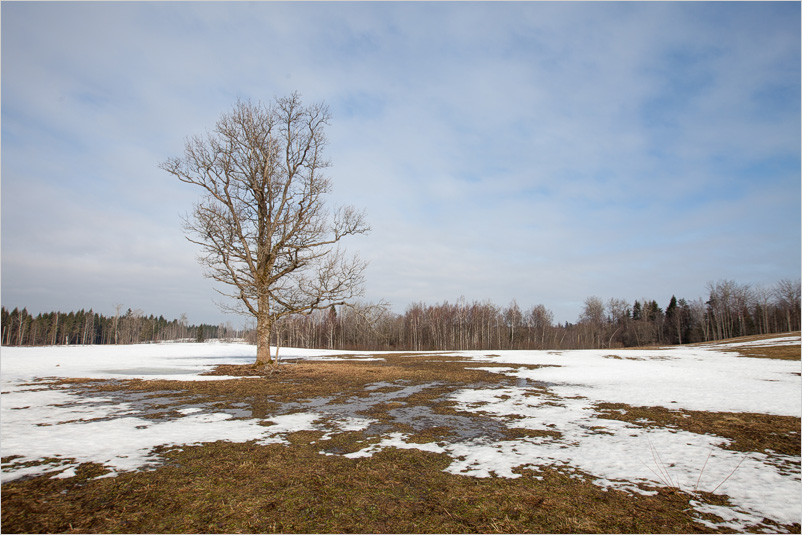 20150308-20