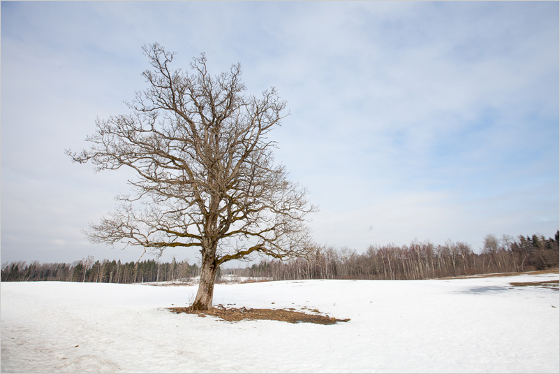 20150308-21