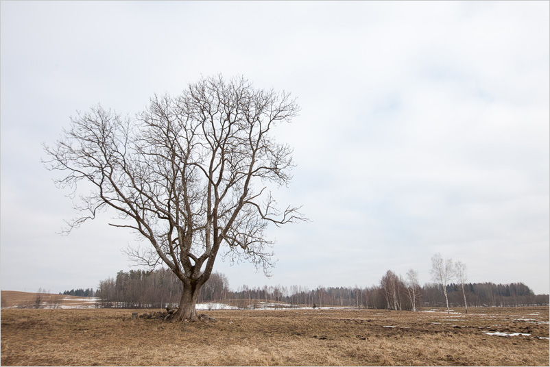 20150308-23