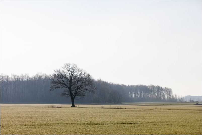 20150406-01