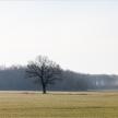 20150406-01