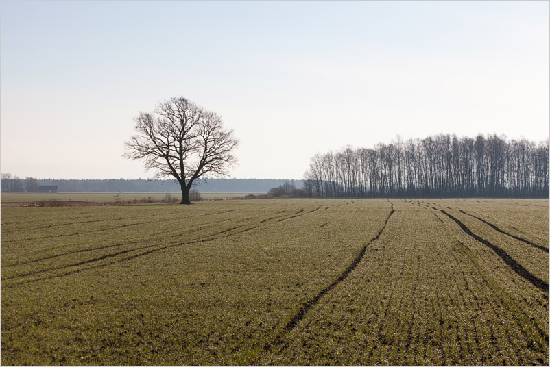 20150406-02