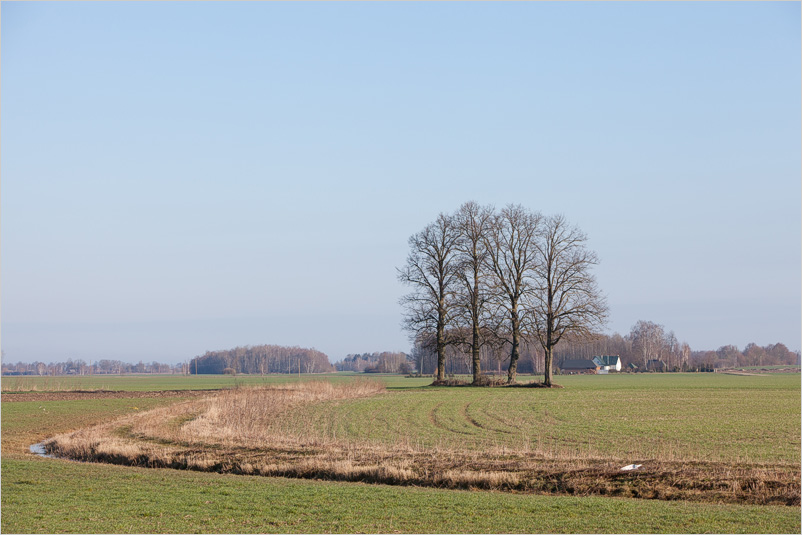 20150406-05