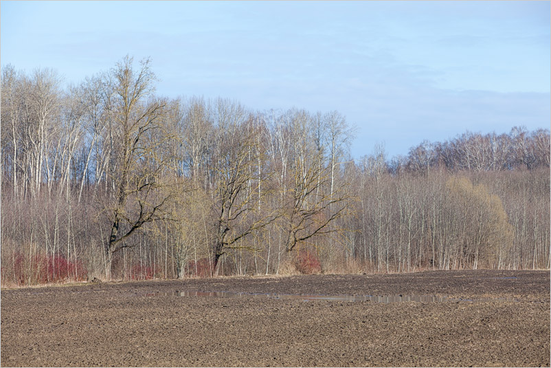 20150406-09