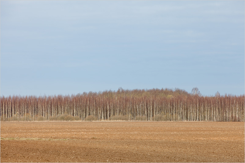20150406-15