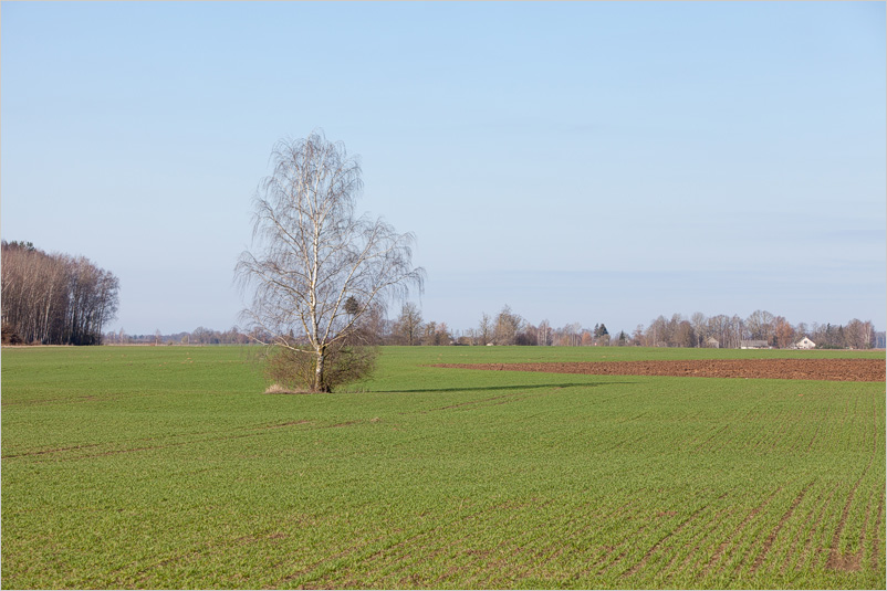 20150406-16