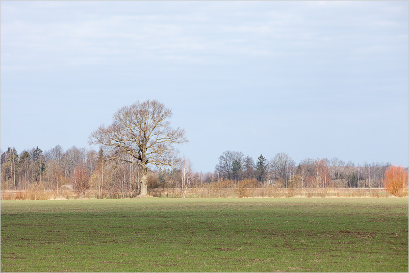 20150406-18