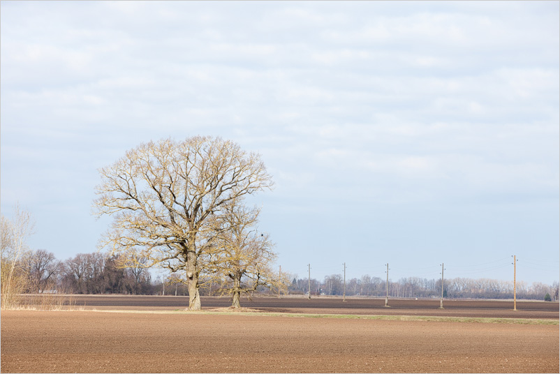 20150406-21