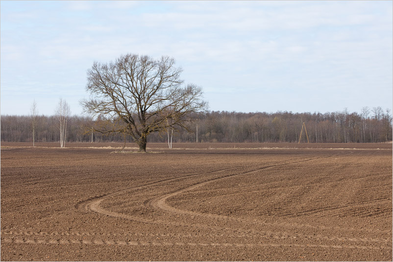 20150406-22