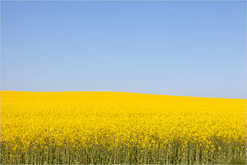 20150523-20