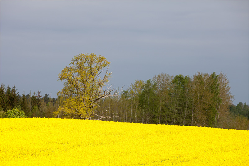 20150523-25