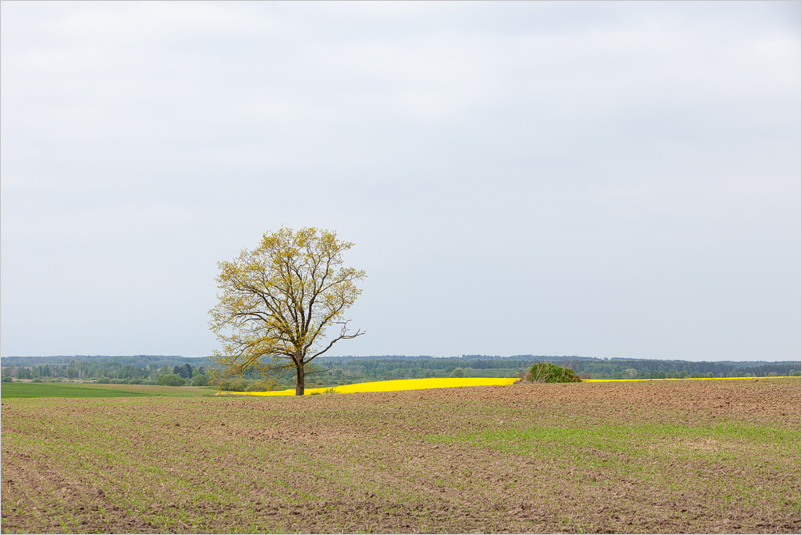 20150523-30