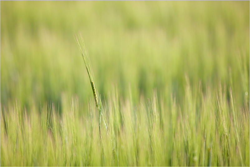 20150626-05