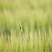 20150626-05