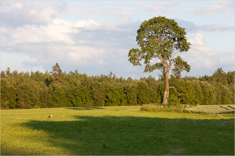 20150626-08