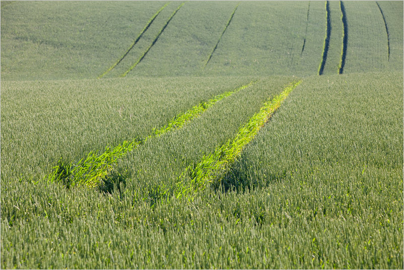 20150704-10
