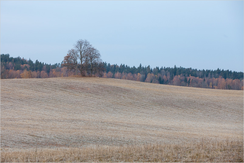 20151031-01