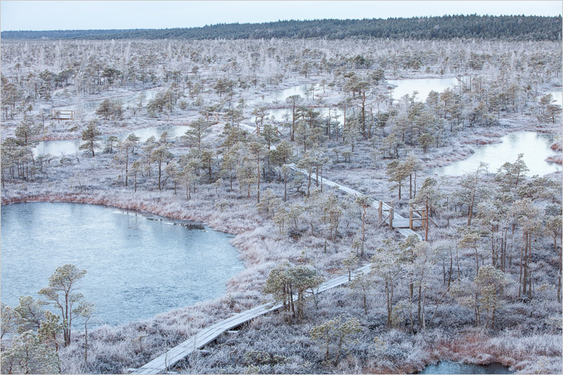 20151122-13