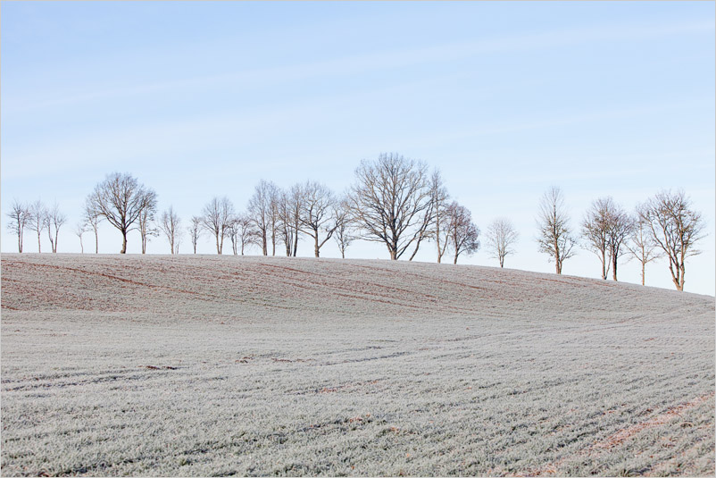 20151122-35