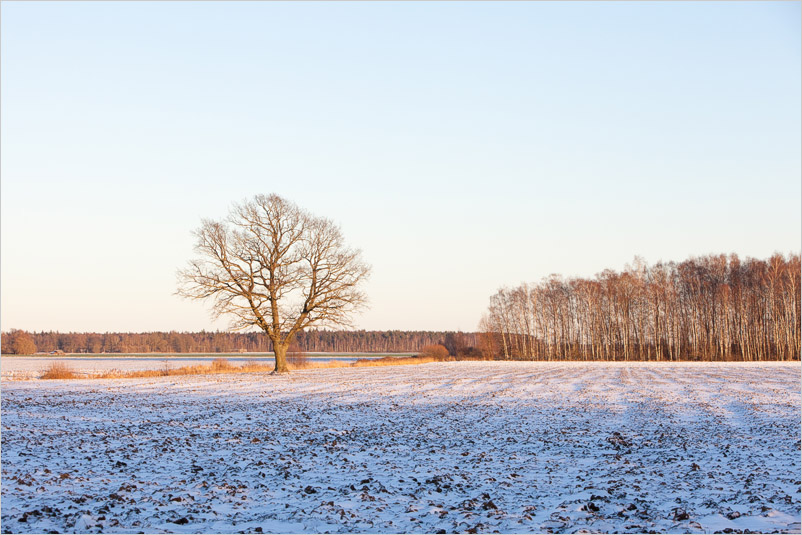 20151228-04
