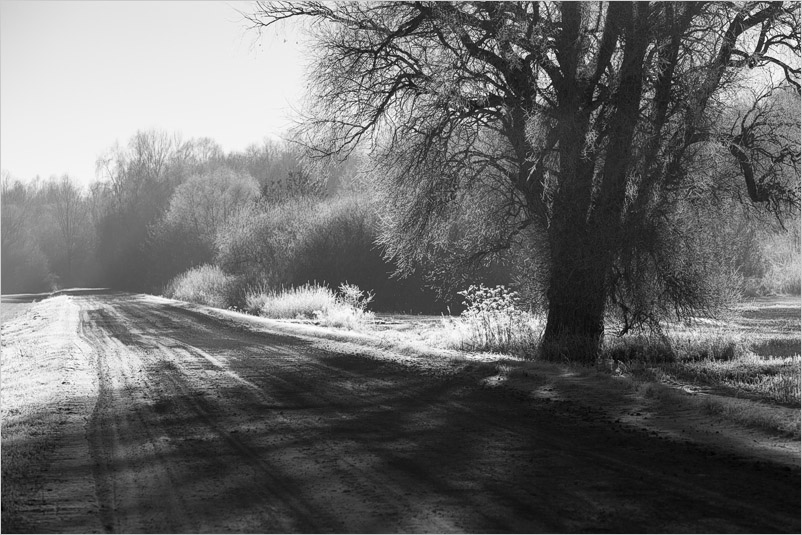 20151230-05_bw