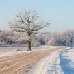20151231-10